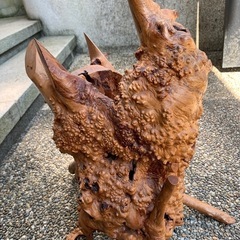 木の根オブジェの画像