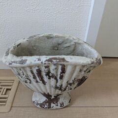 コベントガーデン　鉢の画像