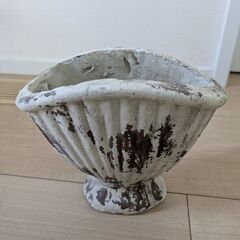 コベントガーデン　鉢