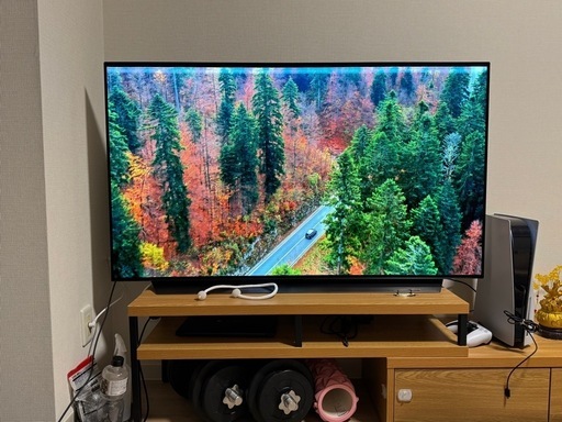 ※東京江東区引き取り限定※【 LG 4K有機ELテレビ】55型 OLED55C9PJA
