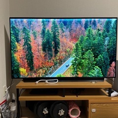 東京江東区引き取り限定※【 LG 4K有機ELテレビ】55型 OLED55C9PJA