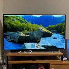 ※東京江東区引き取り限定※【 LG 4K有機ELテレビ】55型 ...