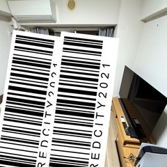 ※東京江東区引き取り限定※【 LG 4K有機ELテレビ】55型 OLED55C9PJAの画像