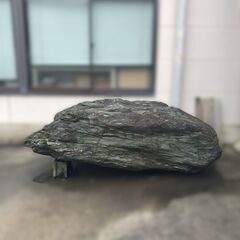 雨に打たれ鮮やかな色になる青石（庭石）