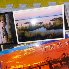 中国　未使用 切手付き絵葉書 特殊切手 ブックレット 10冊！の画像