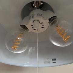 スナフキン ペンダントライト ホーローランプ　電球おまけの画像