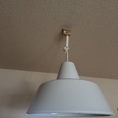 スナフキン ペンダントライト ホーローランプ　電球おまけ