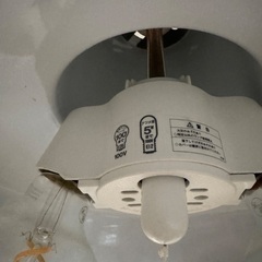 スナフキン ペンダントライト ホーローランプ　電球おまけの画像