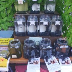 無人メダカ販売