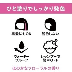 リーゼ　1dayヘアモンスターb サンライズオレンジの画像