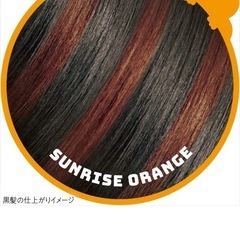 リーゼ　1dayヘアモンスターb サンライズオレンジの画像