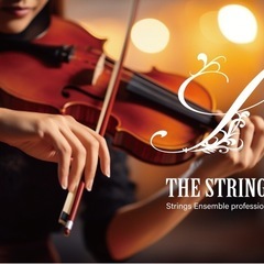 🎻【バイオリニスト募集】THE STRINGS始動！ - 新宿区