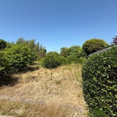 草刈り助けて下さい。