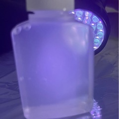 ゾウリムシ培養水　30ml