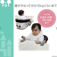 KATOJI テーブルチェアの画像