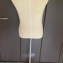 男性用トルソー　胴体模型の画像