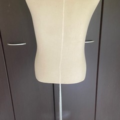 男性用トルソー　胴体模型の画像