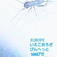 ‼️ピンヘット150匹  