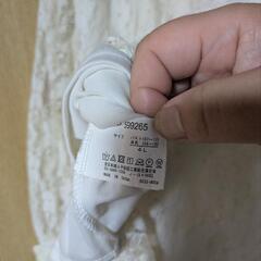 レディース レース柄服の画像