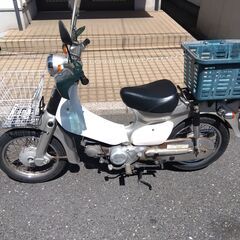 リトルカブ
