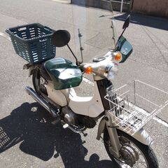 リトルカブの画像