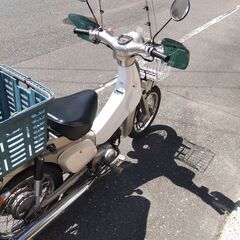 リトルカブの画像