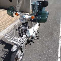 リトルカブの画像