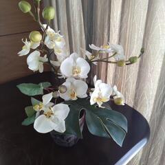 胡蝶蘭　造花