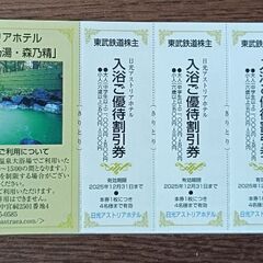 日光アストリアホテル 入浴割引券 4枚