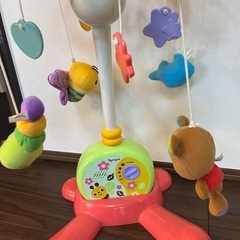 メリー　赤ちゃん