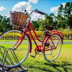 大人用の自転車を譲ってください
