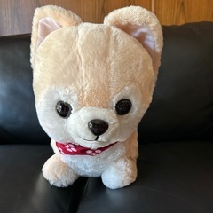 豆柴シリーズ BIGぬいぐるみ さすけ