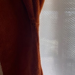 デールの着ぐるみの画像