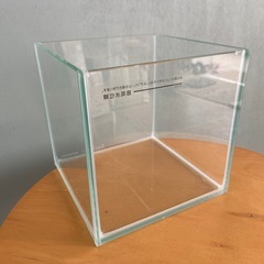 水槽15センチ　キューブガラス