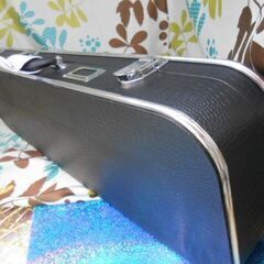 新品未使用　7800円　沖縄三線専用　訳ありハードケース　バックルをご確認くださいの画像