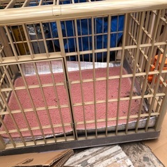 犬用ケージの画像