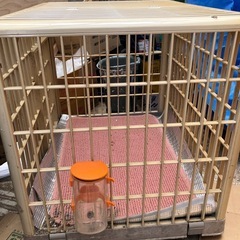 犬用ケージ