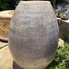 かなり大きなメダカ壺　水槽の画像