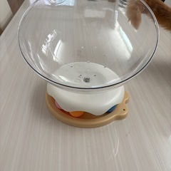 ドーム型ハウスの画像