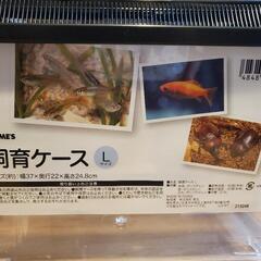爬虫類、魚類の飼育セットの画像