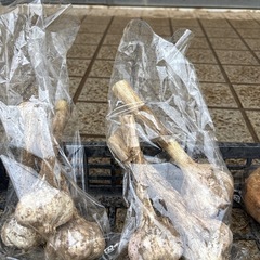 ジャガイモ、にんにく•らっきょう-玉ねぎ4セット