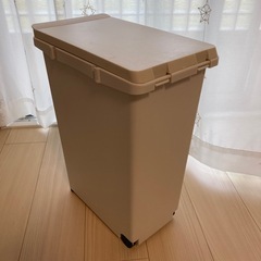 ゴミ箱　30Lぐらいの画像