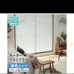ブラインド2つ/アイボリーの画像