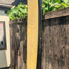 中古ロングボードの画像