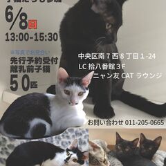 【札幌】緊急譲渡会・ご予約会！[06/08]