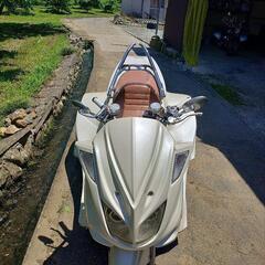 Gordon　マジェ SG03J