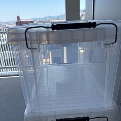 バックルコンテナの画像