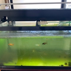 大型水槽セート