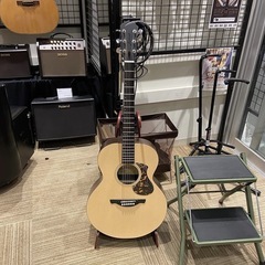 James J-100A SPT アコースティックギターの画像