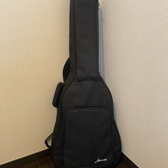 James J-100A SPT アコースティックギターの画像